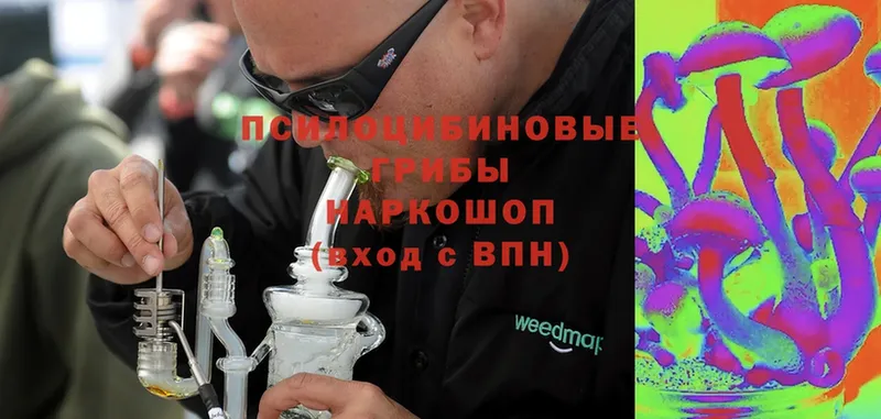 дарнет шоп  Бирск  Псилоцибиновые грибы Magic Shrooms 